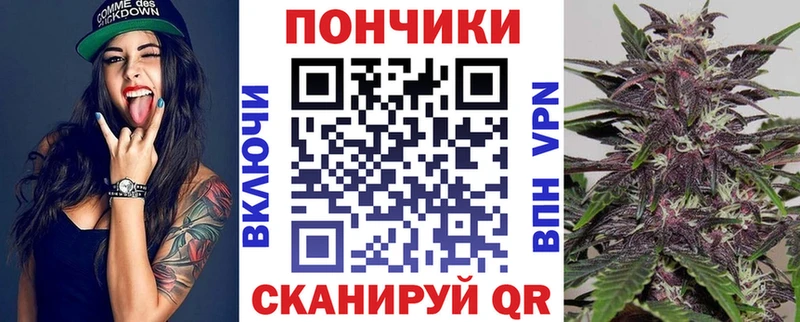 как найти   площадка наркотические препараты  Каннабис план  Нея 